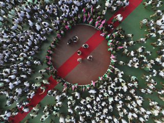 70172037_2441571365912087_6490395341802700800_n